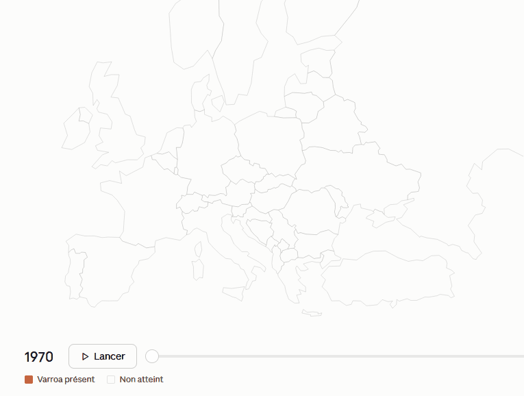varroa3.gif